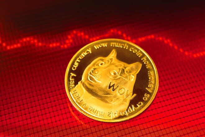 Dogecoin and THORChain Lead Rallies Despite Market Losing $30B