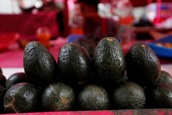 Avocados for sale are seen at a street market, in Mexico City