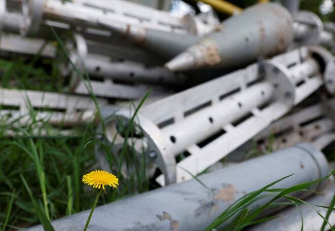 A flower is pictured next to ammunition casings collected at the Mlybor flour mill facility, in Chernihiv