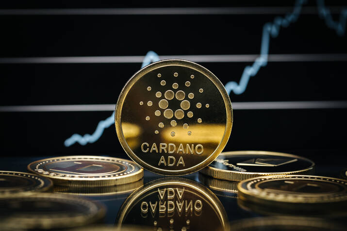 Cardano cryptocurrency coin