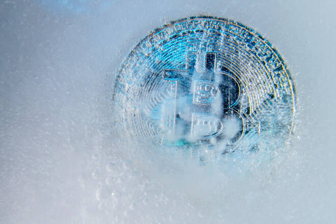 Crypto winter,btc,bitcoin