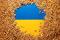 Illustration shows Ukrainian flag and grain