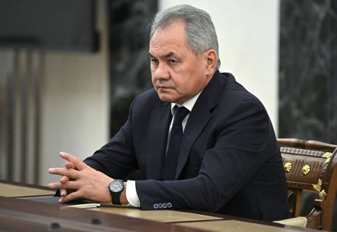 Russian Defence Minister Sergei Shoigu attends a meeting with Russian President Vladimir Putin in Moscow