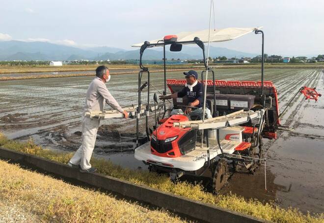 Rice farmer Kazuyuki Oshino chats with his son at a rice field, in Tendo