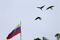 Birds fly next to a Venezuelan flag in Caracas, Venezuela