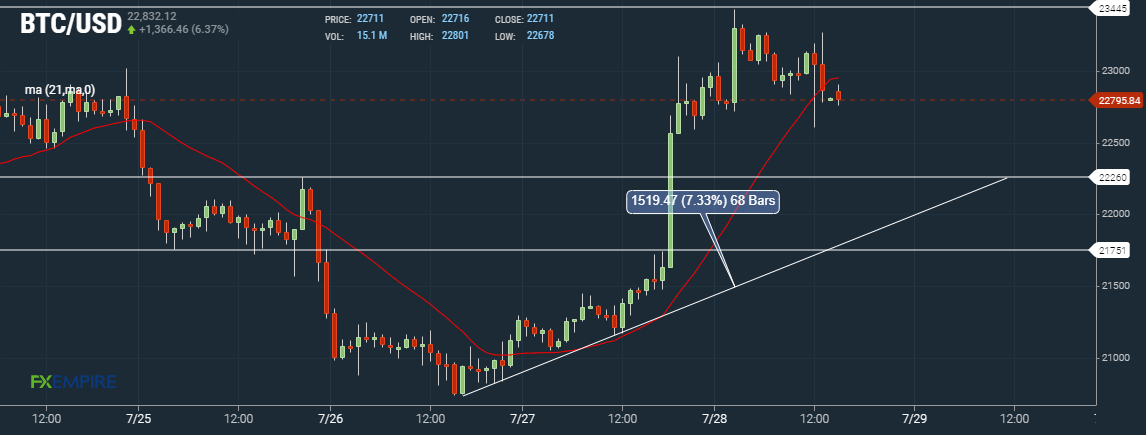 Bitcoin BTC Hourly Chart