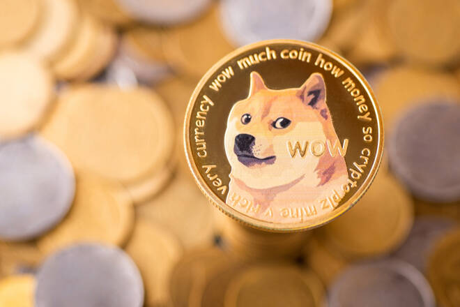 Shiba Inu and Dogecoin Take a Hit As Bitcoin Slips to $22.5K