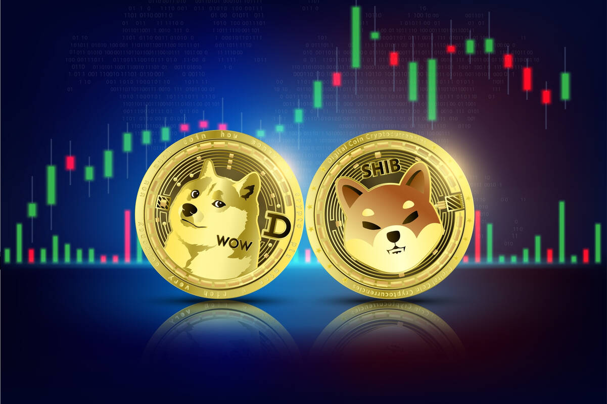 FXempire, Dogecoin, Crypto, Shiba Inu, DOGE, SHIB