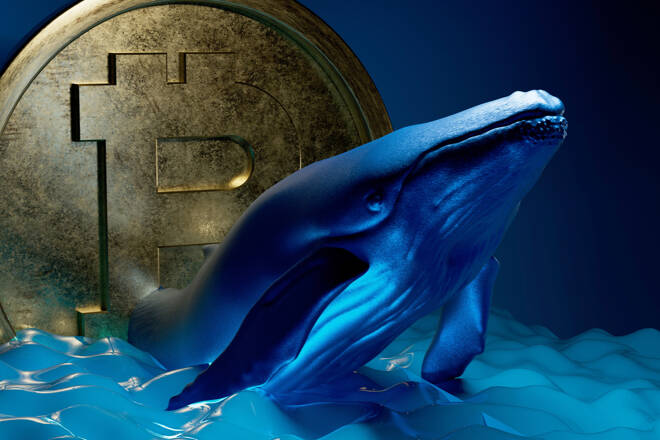 Bitcoin Whales