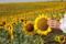 A sunflower field is seen along the way to Russia's southern city of Rostov-on-Don