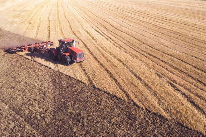 Wheat FX Empire