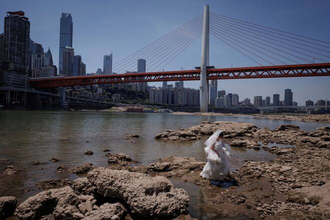 A woman in a wedding dress walks on the dried-up riverbed of the Jialing river that is approaching record-low water levels in Chongqing
