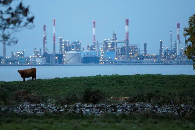 A cow grazes on land in front of an oil refinery in Corsept, western France