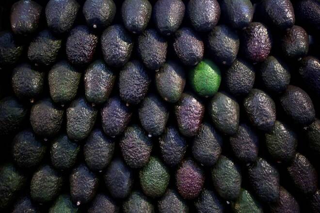 Avocados are on display for sale at the wholesale market "Central de Abastos" in Mexico City