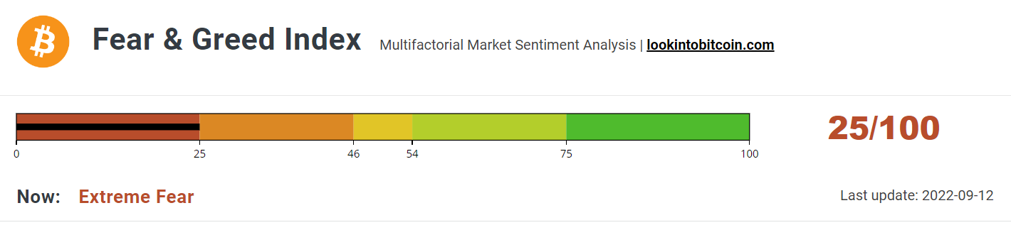 Index falls into the Extreme Fear zone.