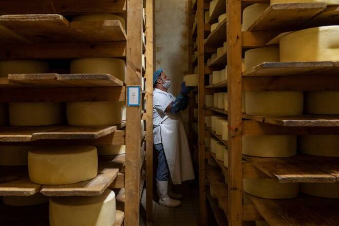 A worker places a wheel of Naxos Graviera on a shelf at a milk processing factory on the island of Naxos