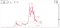 Bitcoin during recession 