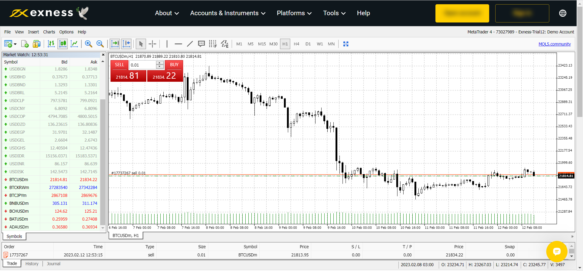 MetaTrader 4 Web Platform