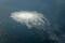 Gas bubbles from the Nord Stream 2 leak reaching surface of the Baltic sea in the area shows disturbance of well over one kilometre diameter near Bornholm