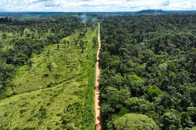 Drone footage shows deforestation in Brazilian Amazon