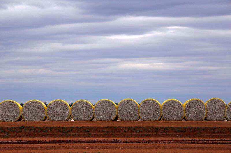 Bales of cotton sit in a paddock located in the Macquarie Valley Irrigation Area near Trangie