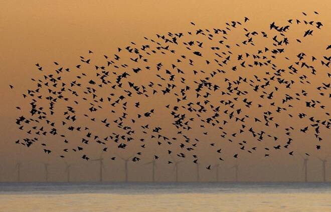 An offshore wind farm is seen as a murmuration of starlings flies above in Brighton