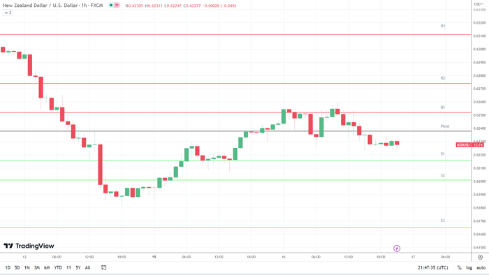 Biểu đồ hàng giờ NZD/USD 17/5