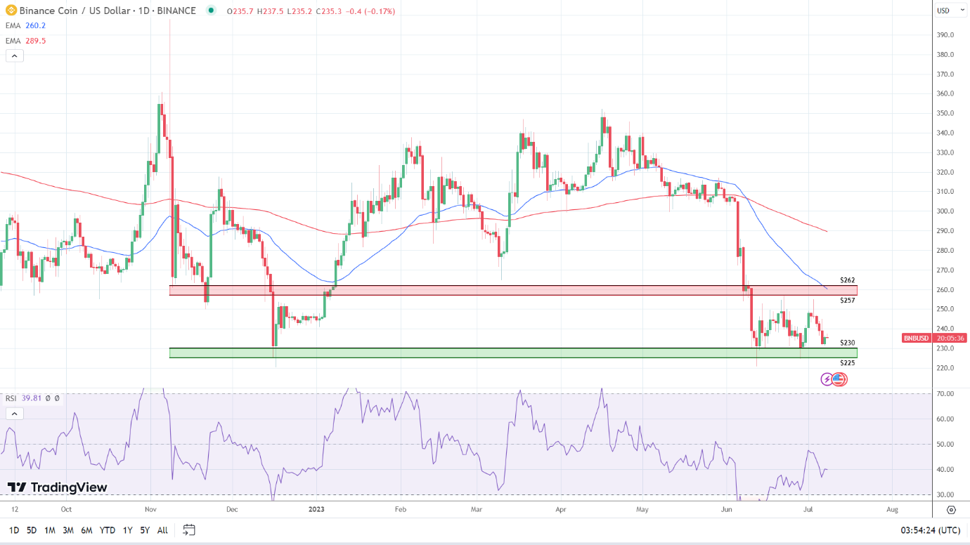 BNB Daily Chart flashes red.