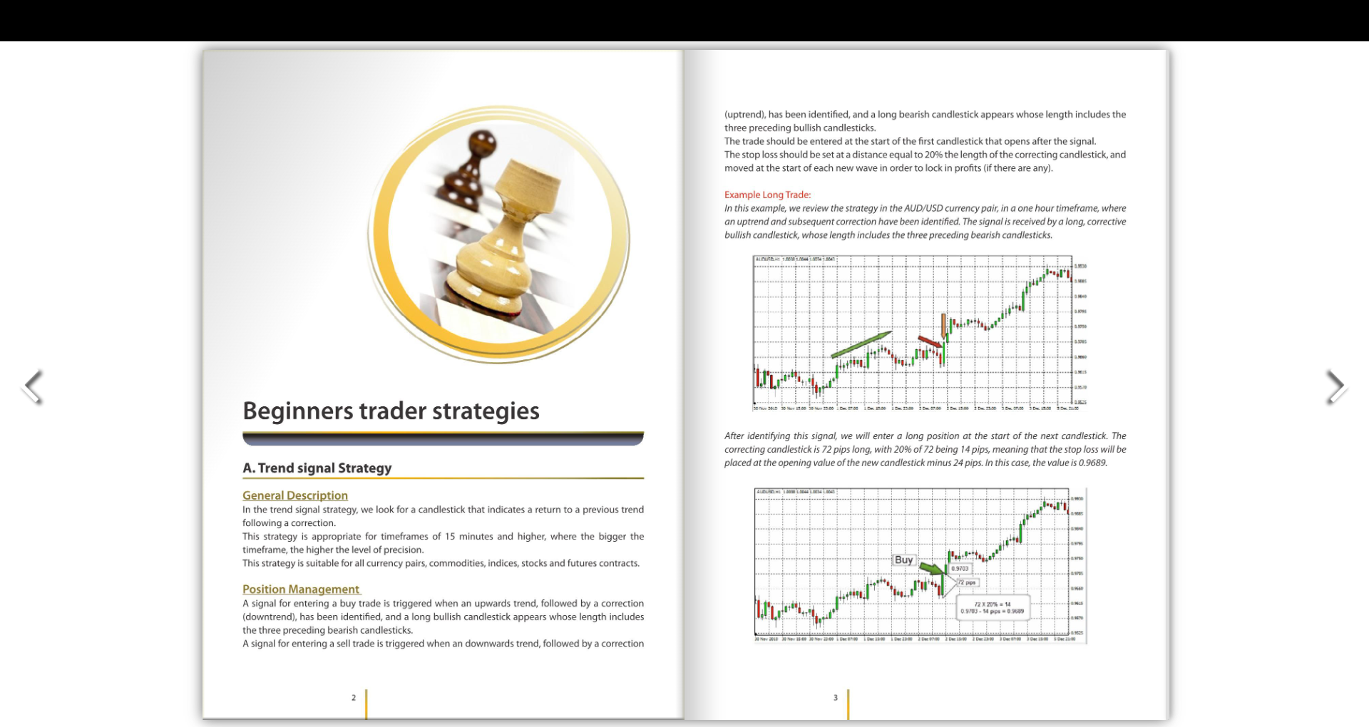 Trading Strategies e-book