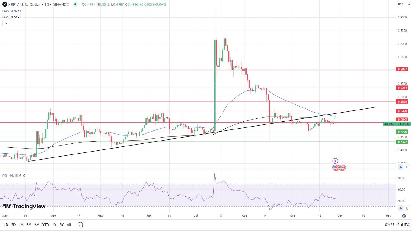 XRP Daily Chart affirms bearish price signals.