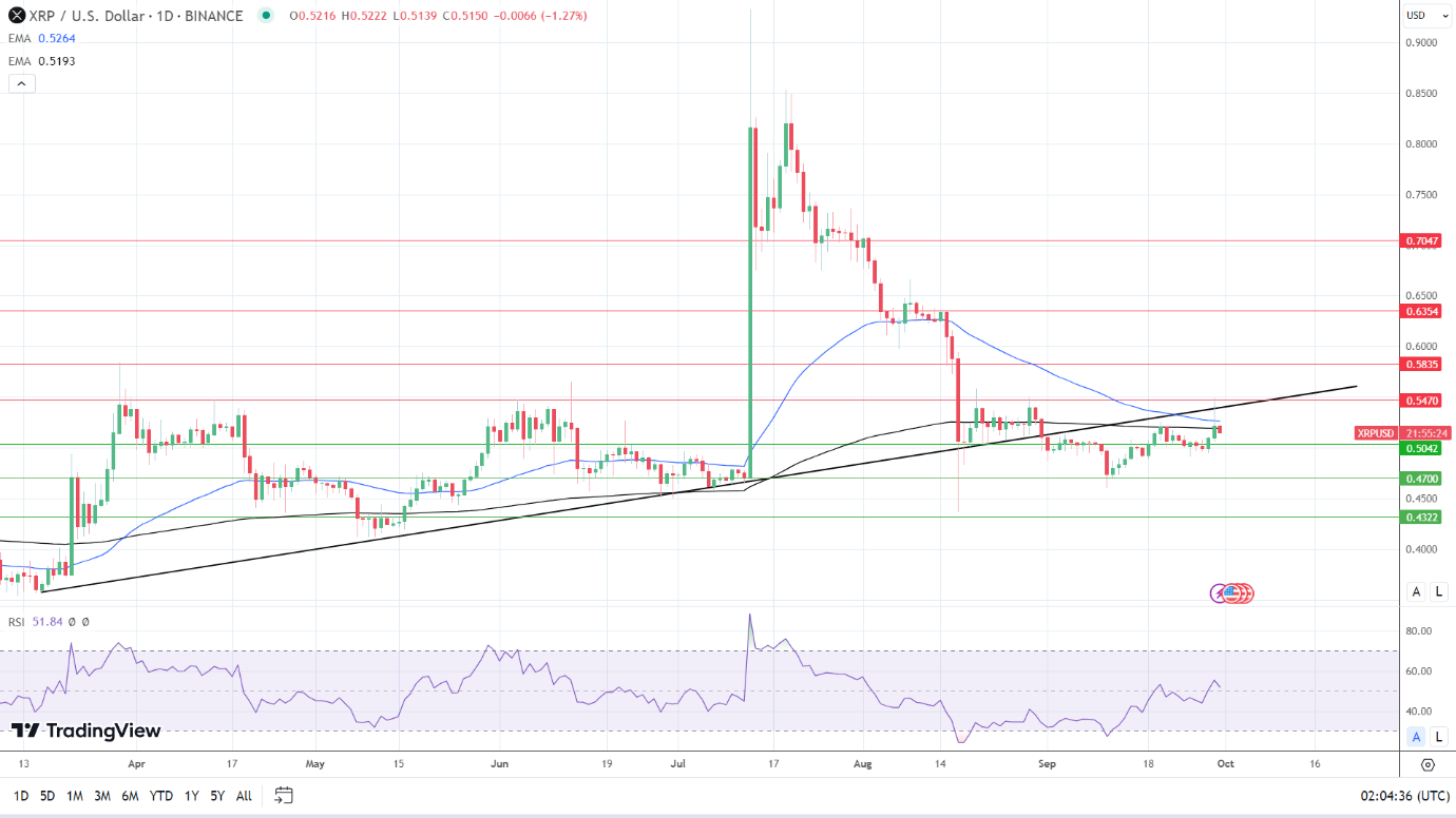 XRP Daily Chart affirms bearish price signals.