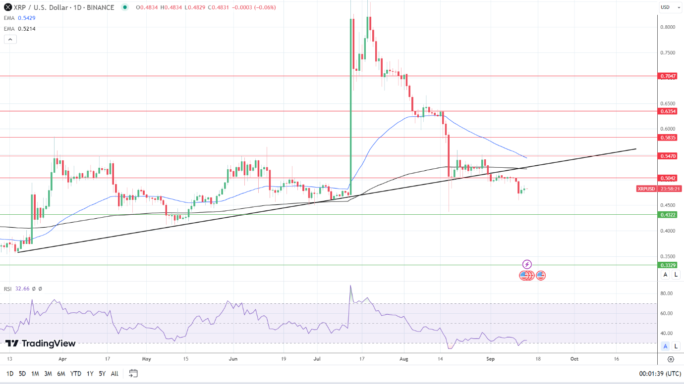 XRP Daily Chart affirms bearish price signals.