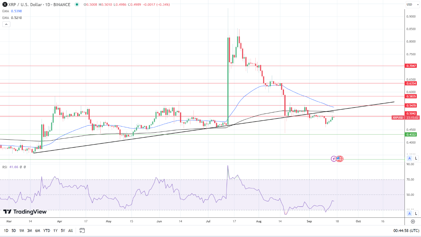 Daily Chart affirms bearish price signals