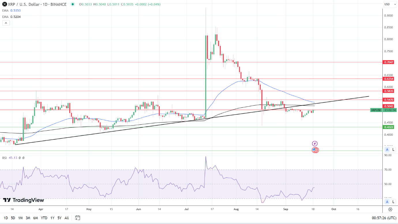 XRP Daily Chart affirms bearish price signals.