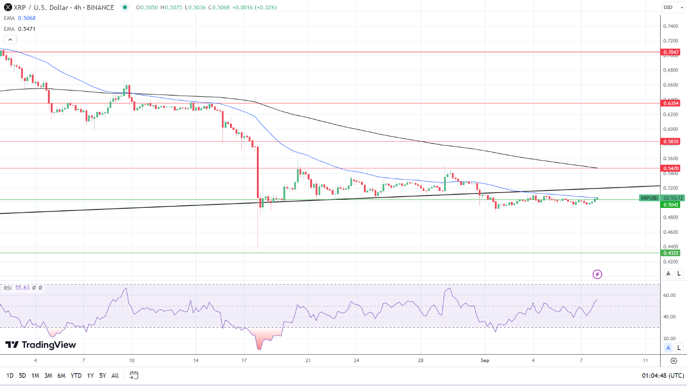 XRP 4-Hourly Chart sends mixed signals.