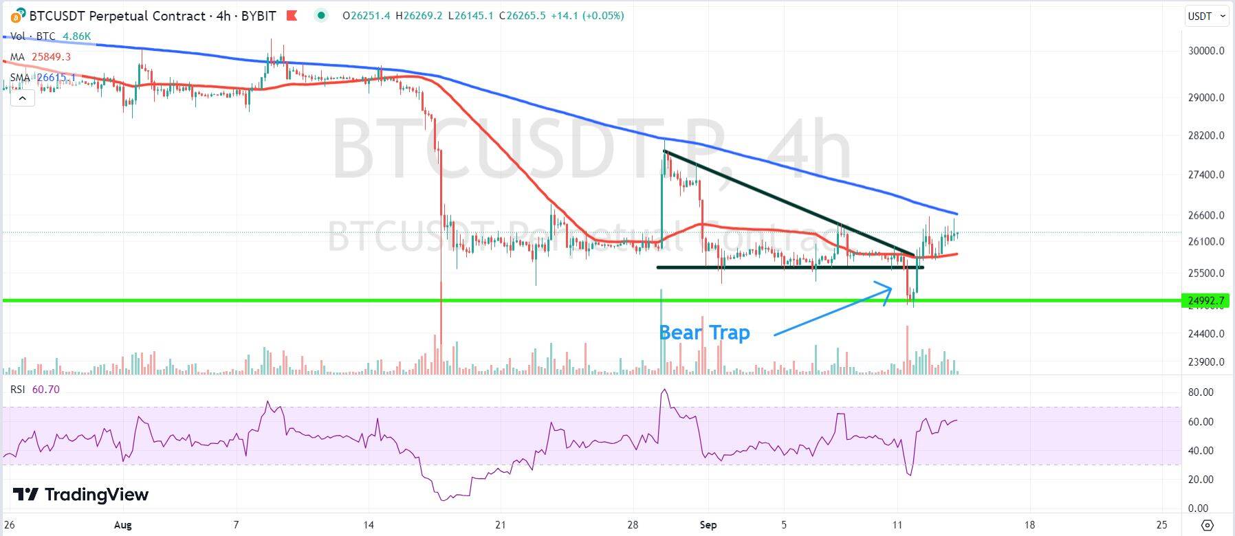 Chart depicting the BTC price.