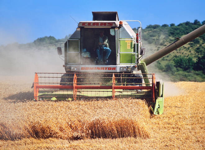 Wheat harvesting, FX Empire
