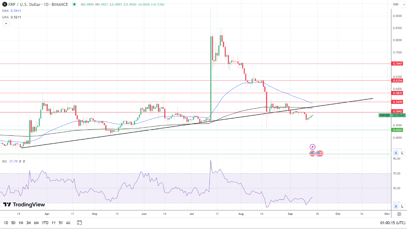 XRP Daily Chart affirms bearish price signals.