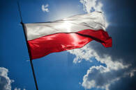 Polish Flag, FX Empire