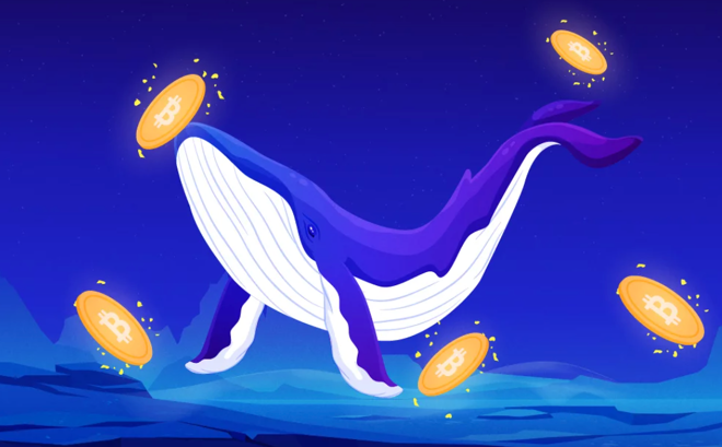 bitcoins Crypto whales altcoins