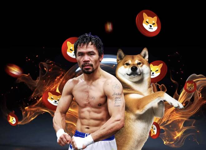 Shiba Inu Manny Pacquiao