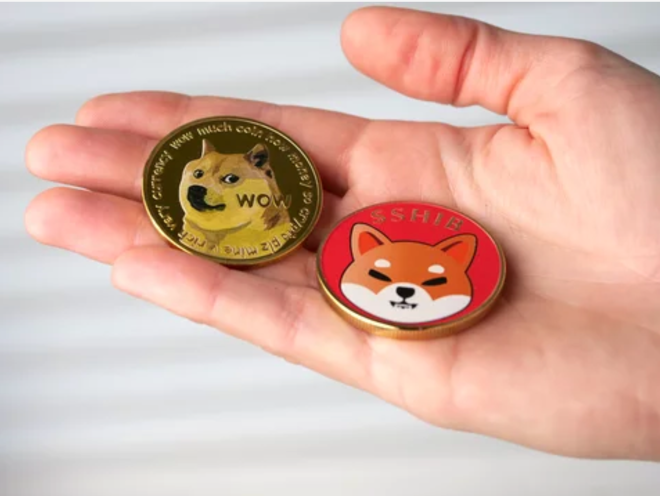 Shiba Inu (SHIB) Price vs Dogecoin (DOGE)