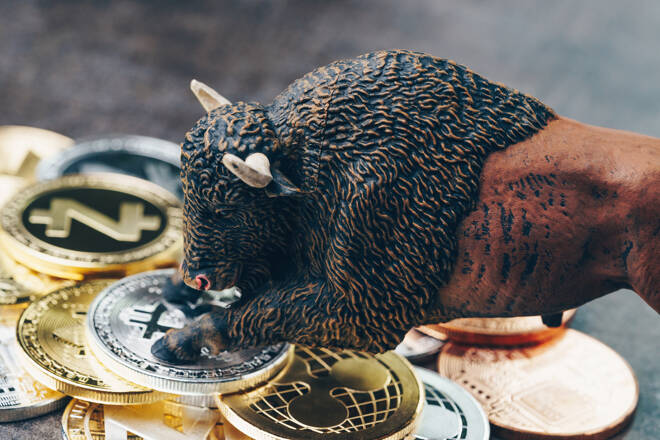 Cryptocurrencies and a bull, FX Empire