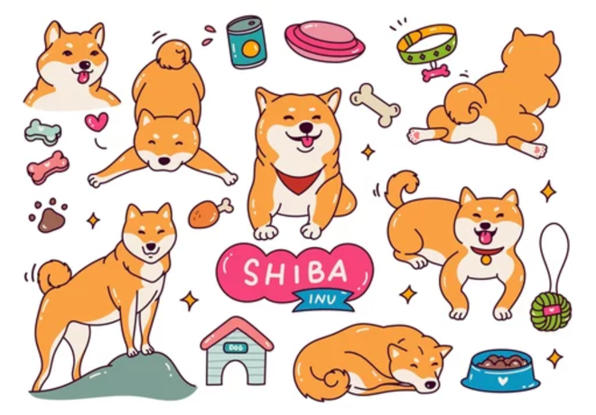 Shiba Inu (SHIB) Price Forecast