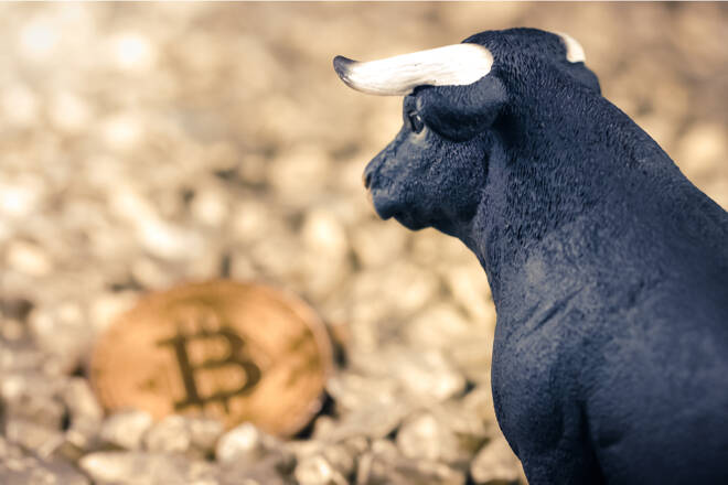 Bitcoin and bull, FX Empire