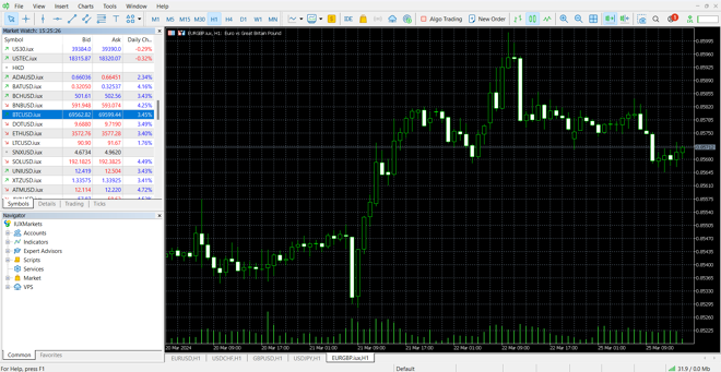 MetaTrader 5’s main panel