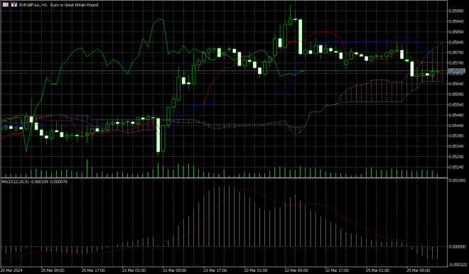 MetaTrader 5’s chart screen