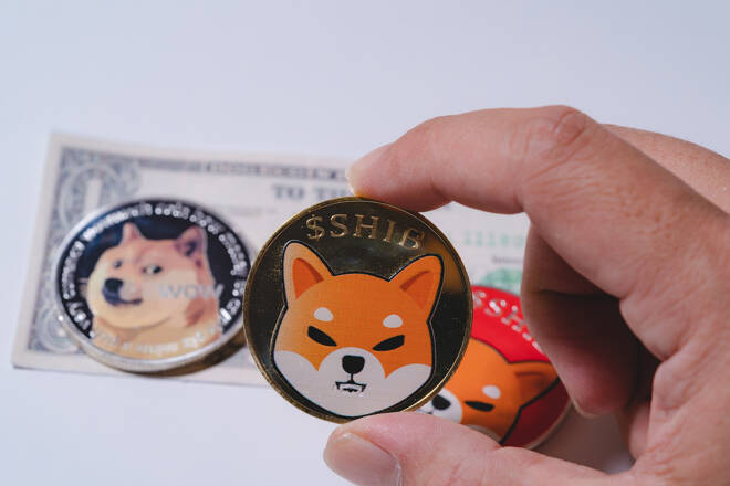 Shiba inu coin, FX Empire