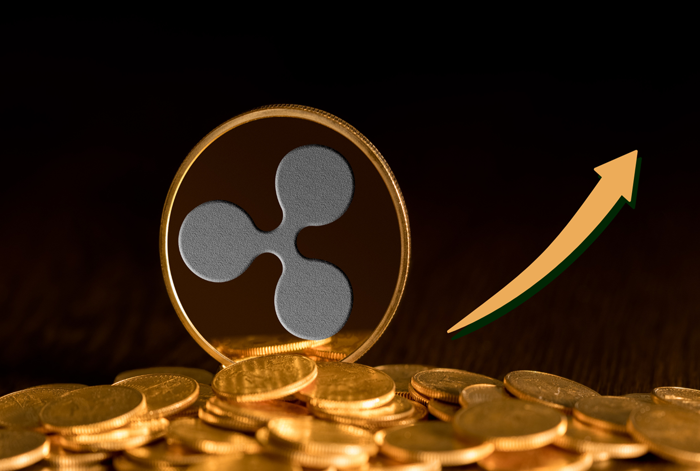 XRP Price Forecast – Key Support Levels and Whale Accumulation Indicate 50% Rally