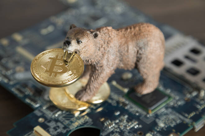 Bear and bitcoins. FX Empire